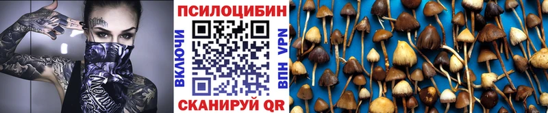 Галлюциногенные грибы ЛСД Купить закладки Жирновск